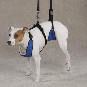 Topdog SUPPORTRx HARNESS-0